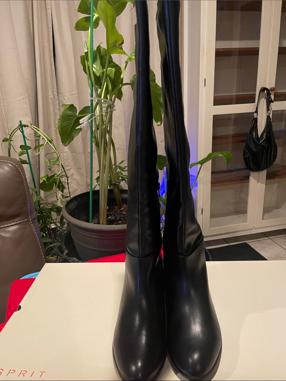 Esprit Black Over-the-Knee Stretch Boots